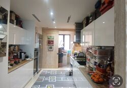 The Ritz-Carlton Residences (D9), Apartment #446130341